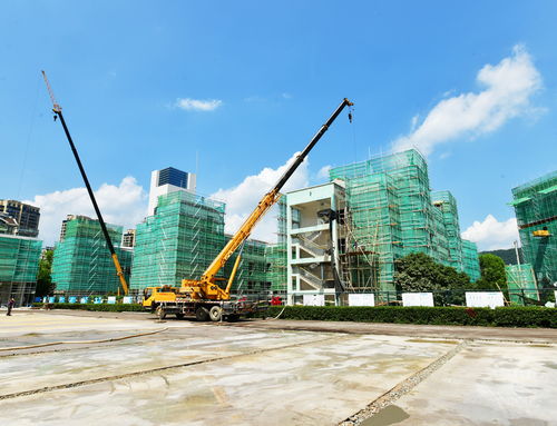 明珠小學(xué)改擴(kuò)建工程有序推進(jìn)，景觀工程為校園增添新氣象